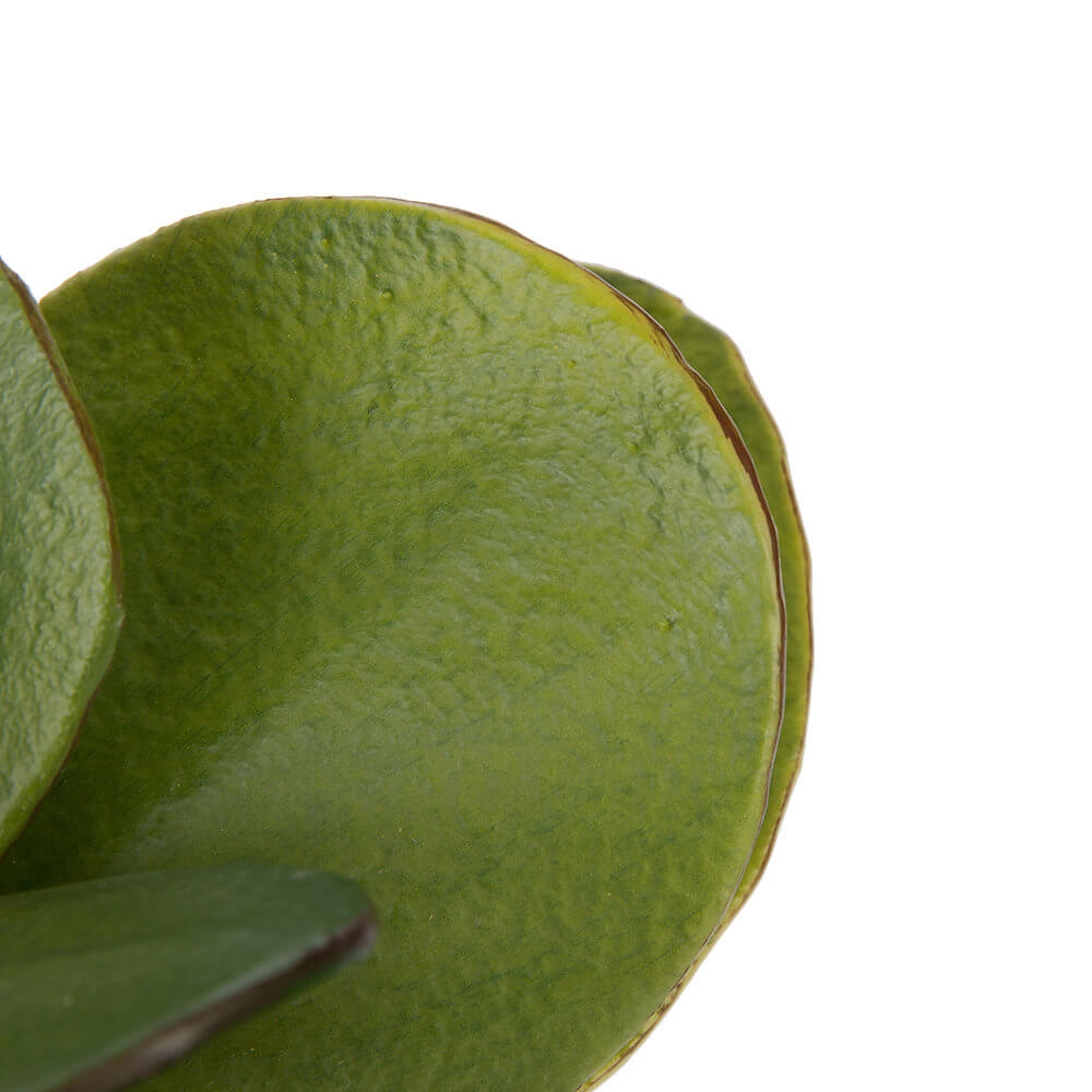 Artificial Lotus Plant